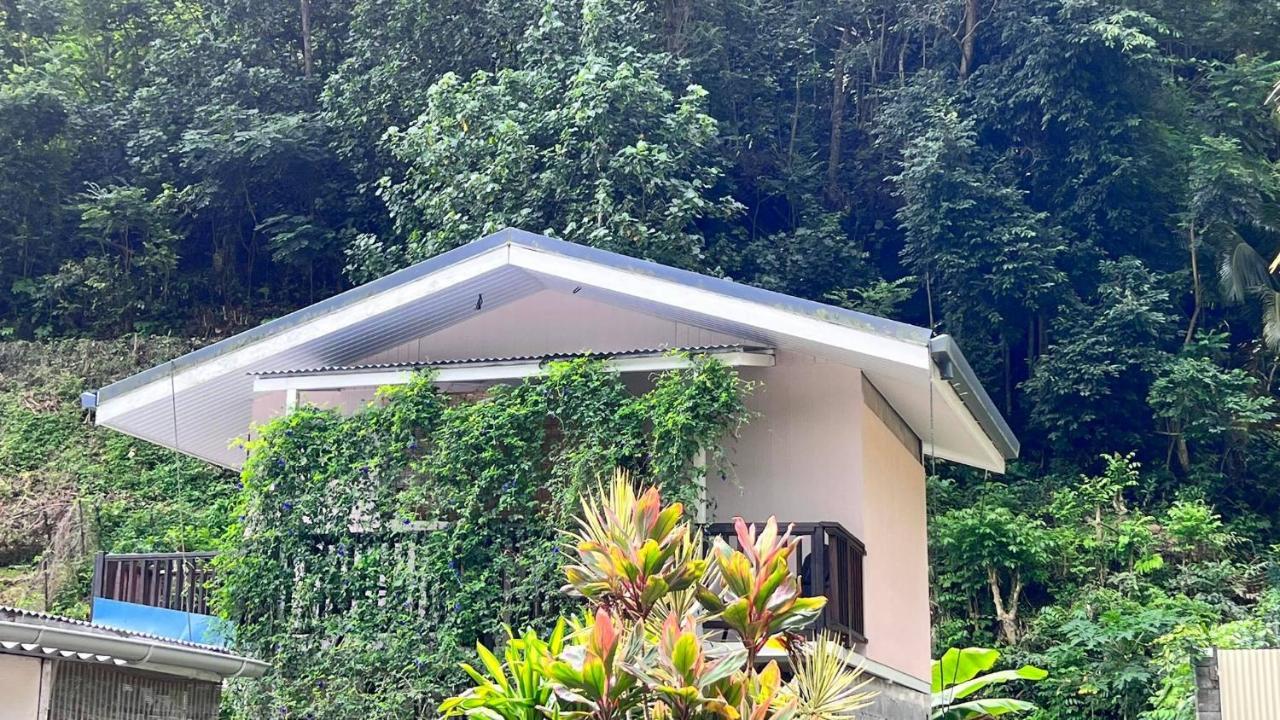 Matatia Lodge Пунауиа Екстериор снимка